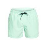 Quiksilver Erkek Everyday 15" Şort,Yeşil.,X-Small