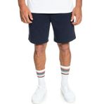 Quiksilver Erkek Klasik Pantolon Essentials Şort