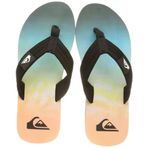 Quiksilver Erkek Molokai Layback Parmak Arası Terlik