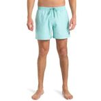Quiksilver Erkek şort, Aqua Sky, XS