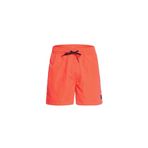 Quiksilver Erkek Şort Evdayvl15MJamv EQYJV03531MKZ0