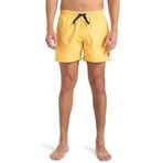 Quiksilver Erkek şort, Güneş enerjisi, L