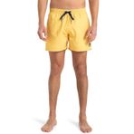 Quiksilver Erkek şort, Güneş enerjisi, M