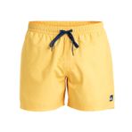 Quiksilver Erkek şort, Güneş enerjisi, S