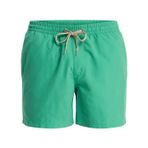 Quiksilver Erkek şort, Leprikon, S