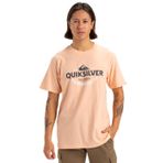 Quiksilver Erkek Typed Out SS Tişört, Mükemmel şeftali, L