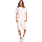 Quiksilver Essentials SS Erkek T-Shirt