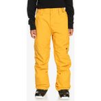 Quiksilver Estate Youth Pt Erkek Çocuk Sarı Snowboard Pantolonu - 12 Yaş