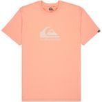 Quiksilver EV COMP LOGO SS Bakır Erkek Kısa Kol Gömlek - XL - Kahverengi