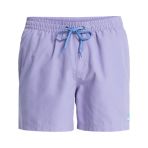 Quiksilver Everyday 15 Erkek Şort Eqyjv04120-Qk.pks0