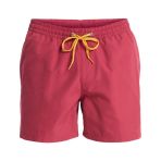 Quiksilver EVERYDAY 15 Erkek Şort EQYJV04120-QK.RQZ0