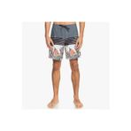 Quiksilver Everyday Division 17 Erkek Deniz Şortu EQYBS04580