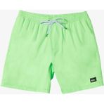 Quiksilver Everyday Solid Volley 15 Erkek Deniz Şortu - Açık Yeşil