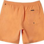 Quiksilver Everyday Solıd Volley 15 Erkek Sort Aqyjv03153-Qk.njf0