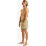 Quiksilver Everyday Solid Volley 15 Erkek Şort EQYJV04120 - M - Yeşil