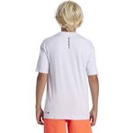 Quiksilver Everyday Surf Tee Ss Youth Erkek Cocuk T-Shirt Aqbwr03067-Qk.10