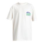 Quiksilver Everyday Surf Tee SS Youth Erkek Çocuk Tişörtü (1'li Paket)