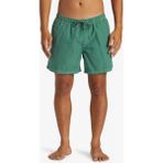 Quiksilver Everyday Surfwash Volley 15 Erkek Deniz Şortu - Yeşil
