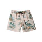 Quiksilver Longmanhill Volley klasik erkek şortu (tekli paket)