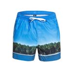 Quiksilver Mavi Erkek Şort Mayo - S