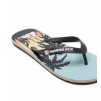 Quiksilver MOLOKAI ART Mavi Erkek Terlik
