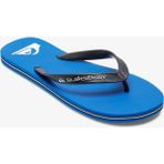 Quiksilver Molokaı Core Erkek Terlik AQYL101325-QK.BYJ1 - Mavi
