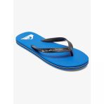 Quiksilver Molokaı Core Erkek Terlik Aqyl101325-Qk.byj1
