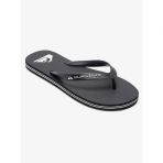 Quiksilver Molokaı Core Erkek Terlik Aqyl101325-Qk.kvj1
