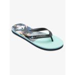 Quiksilver Molokaı Panel Erkek Terlik Aqyl101263-Qk.xkbs