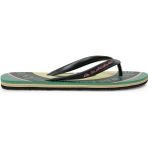 Quiksilver Molokaı Screen Yeşil Erkek Sandalet