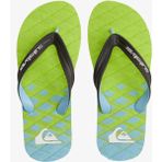 Quiksilver Oahuey Yeşil Kahverengi Erkek Terlik