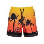 Quiksilver Pardsvly17 M Jamv Erkek Deniz Şortu