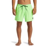 Quiksilver Quıksılver EVERYDAY SOLID VOLLEY 15 Erkek Şort AQYJV03153-QK.GGY0 Yeşil XS