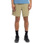 Quıksılver Quiksilver Run Ashore Cargo Erkek Siyah Şort.26114 - M