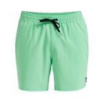 Quiksilver Surfsilk Solid Volley 16 Erkek Mayo Yeşil XXL