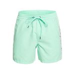 QUIKSILVER Vert 16 M Jamv Erkek Şort Mayo Yeşil XS