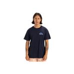Quiksilver Window Pane Erkek Tişört ERKEK T-SHIRT EQYZT08055