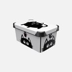 Qutu Style Meow Cat 5 lt Saklama Kutusu