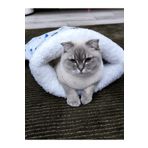 Quun Kedi Köpek Uyku Tulumu Yatak Yetişkin Kedi Beyaz Velsoft Şık Tasarım Box