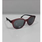 Qzen COL.1506 976 50 19 150 Unisex Güneş Gözlüğü