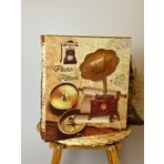 Rabsev RS21 10x15 cm 600'lük Gramafon Desenli Kutulu Yatay Dikey Modeli Fotoğraf Albümü