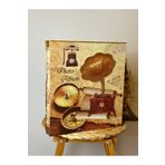 Rabsev RS21 10x15 cm 600'lük Gramafon Desenli Kutulu Yatay Dikey Modeli Fotoğraf Albümü