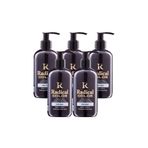 Radical Color New 25/Black Amonyaksız Su Bazlı Saç Boyası 250 Ml 5 Adet Siyah