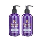 Radical Color New 25/Blueberry Amonyaksız Su Bazlı Saç Boyası 250 Ml 2 Adet Yaban Mersini