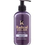Radical Color New 25/silver Amonyaksız Su Bazlı Saç Boyası 250 ml 1 Adet Gümüş - Renk Kodu