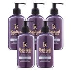 Radical Color New 25/Silver Amonyaksız Su Bazlı Saç Boyası 250 Ml 5 Adet Gümüş