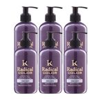 Radical Color New 25/Silver Amonyaksız Su Bazlı Saç Boyası 250 Ml 6 Adet Gümüş