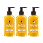 Radical Color New 25/Yellow Amonyaksız Su Bazlı Saç Boyası 250 Ml 3 Adet Sarı