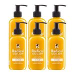 Radical Color New 25/Yellow Amonyaksız Su Bazlı Saç Boyası 250 Ml 6 Adet Sarı