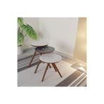 Radix Dekoratif Zigon Sehpa Set (6'LI TABLO HEDİYELİ)